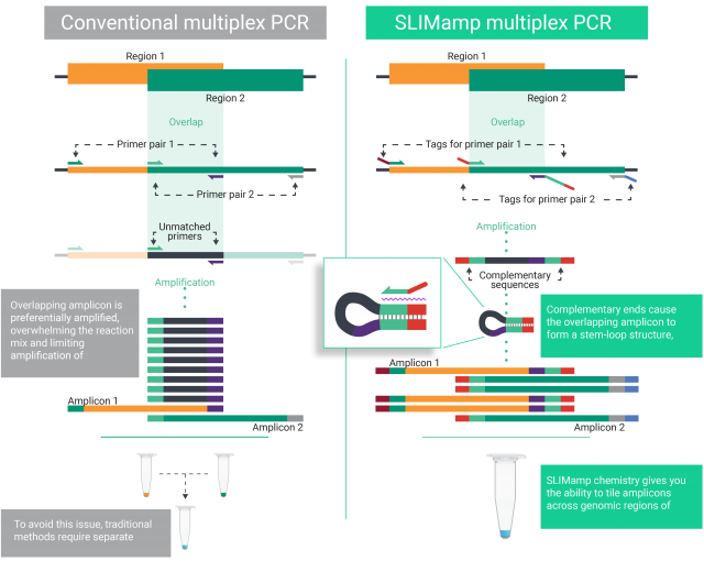 SLIMamp multiplex PCR uses a stem loop structure during amplification and gives you the ability to tile amplions across genomic regions of interest