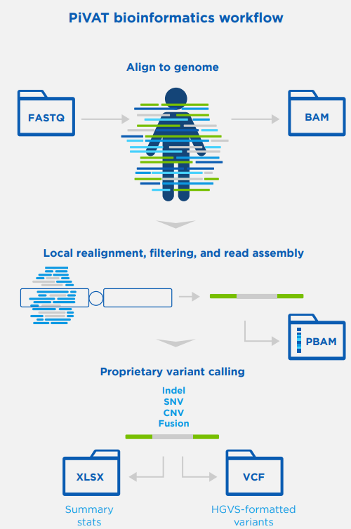 Pillar Biosciences PiVAT bioinformatics worfklow: 1) Align to genome, 2) Local realignment, filtering, and read assembly, 3) Proprietary variant calling